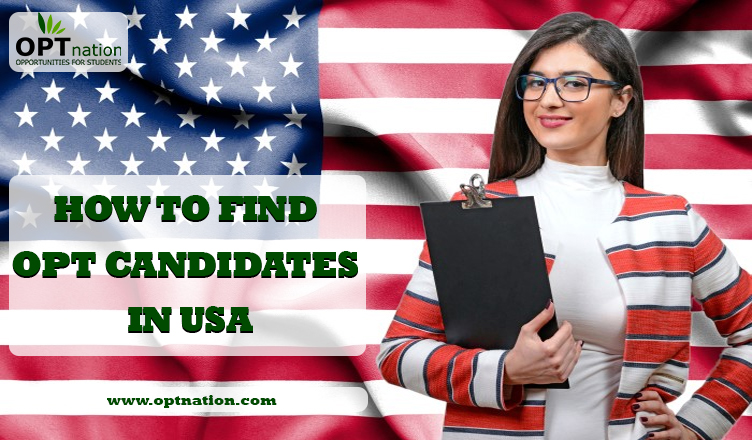 How to find OPT candidates in USA 